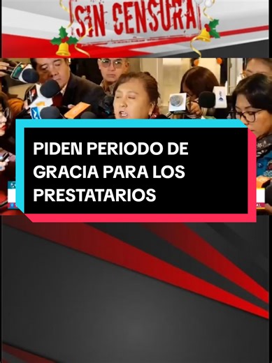 Microempresarios piden periodo de gracia a diputada Pérez