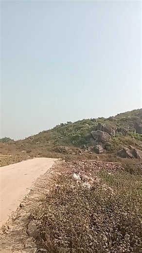 tere ishq me pagal #bollywood #song