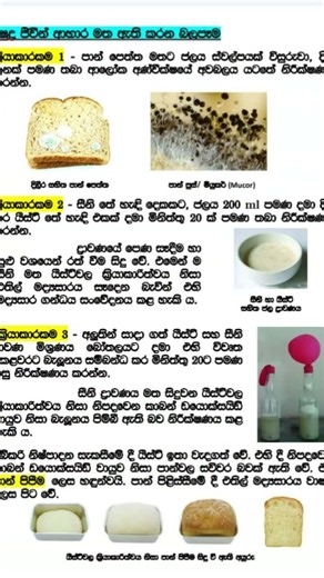 Grade 8 Science 1st unit Short note #තිතටම Science 📒📚📚🤎
