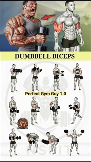 10 Best Dumbbell Bicep Exercises for Bigger Arms (Full Workout)