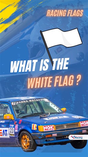 1.6K views · 38 reactions | Racing Flag Signals Explained - Episode 8...