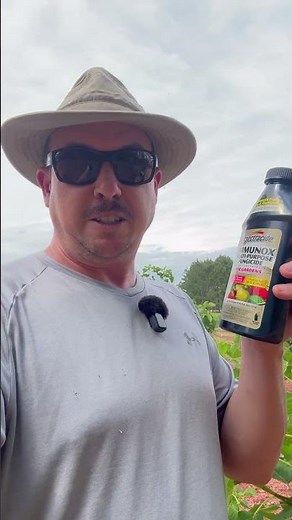 How to Reduce Fig Tree Rust: Spraying