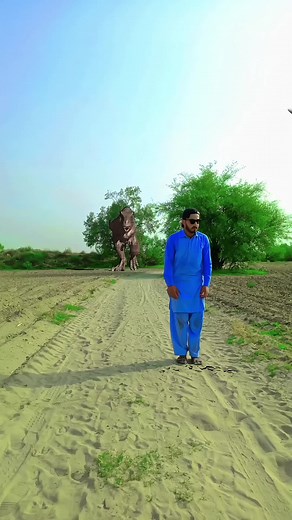 Vfx magic video editing long garden helicopter flying #foryou #video #viral #vfx #magic