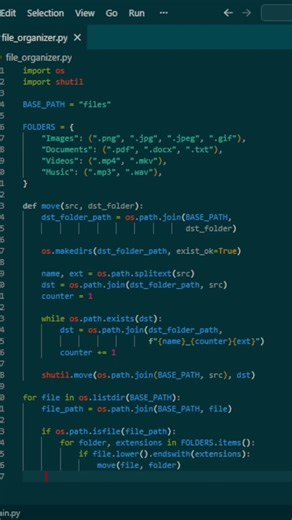 Python file organizer