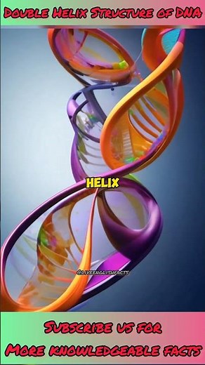 DNA Double Helix Structure | HHMI BioInteractive Video