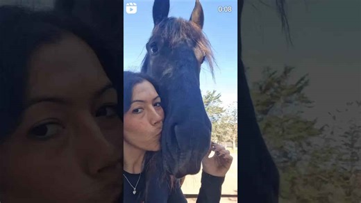 Woman Kisses Her Horse: Adorable Animal Love