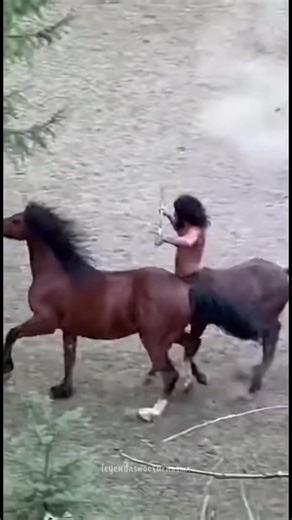 Centauro: Leyenda de un Ser Mitológico en el Bosque