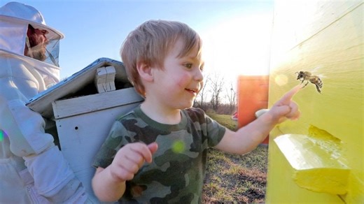 Growing our hive community: join us!