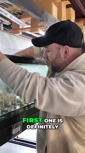 15K views · 150 reactions | Looking for the perfect plant for a nano...