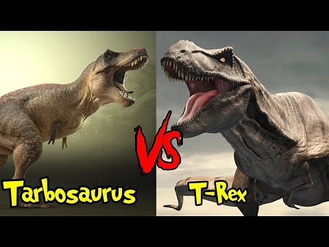 T Rex vs Tarbosaurus | कौन जीतेगा T-Rex और Tarbosaurus की लड़ाई मे