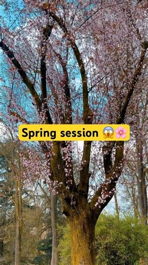 Peaceful Spring Moments 🌸 Relax & Breathe