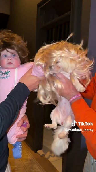 Thanksgiving with the LeCroy’s #wigsnatch | thanksgiving