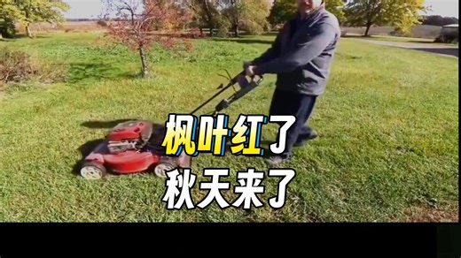 【18集全】跟着Bob老师学英语 # 沉浸式英语学习快速提升词汇量、口语、听力，刷完词汇量暴涨10000 