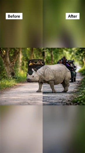 Adobe Lightroom editing skills. Raw image #nature #wildlife #hype #hyped.‪@NatGeo‬ ‪@Lightroom‬