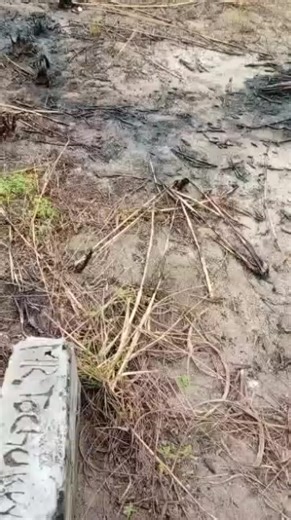 🏡 FOR SALE | PRIME LAND INVESTMENT IN AJAH, LAGOS 🇳🇬 Own 2 plots of premium land in a fast-growing and highly sought-after location at Royal Habitat Estate, Oribanwa, Ajah, Lagos — perfect for residential or investment purposes. 📍 Location: Royal Habitat Estate, Oribanwa, Ajah, Lagos State 📄 Title: Certificate of Occupancy (C of O) 💰 Price: ₦35,000,000 per plot (Asking) 📌 Ref: Canaan ✨ Why Buy This Property? Secure, serene & well-planned estate High ROI area with rapid infrastructure grow