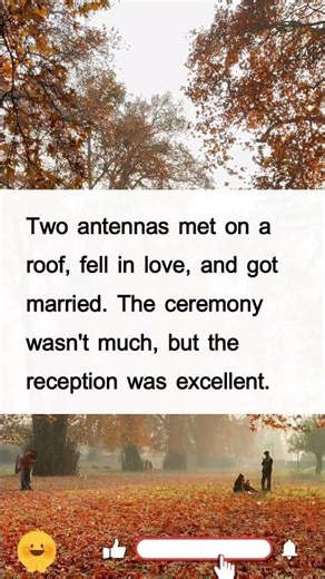 Antenna Wedding Joke | Reception Pun Perfect Wordplay