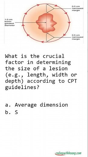 2024 CPT GUIDELINES - THE LESION SIZE