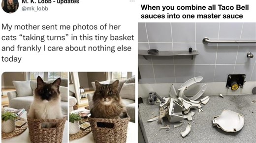 23 Completely Random Memes From All Across The Web