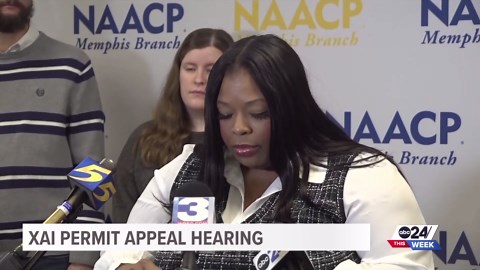 Environmental group speaks out over xAI permit appeal | ABC24 This Week