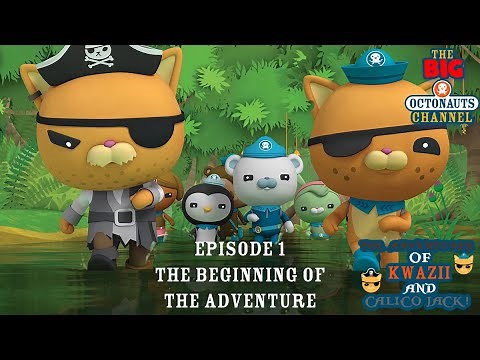 The Adventures of Kwazii and Calico Jack Series 1 Episode 1 | The BIG Octonauts Channel