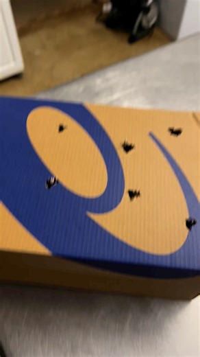 Hi bear! (If you don’t get it, read story time from yesterday)😁 | Wild Heart Ranch