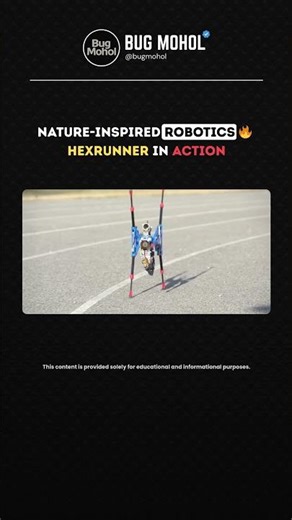 Engineers Copied Ostrich Legs… The Result Is HexRunner 😳