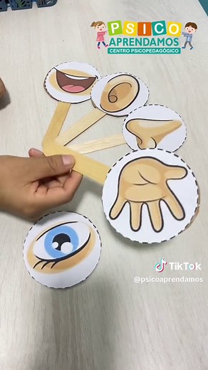 Aprendiendo sobre los 5 sentidos en niños