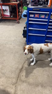 Mortske Repair on Reels