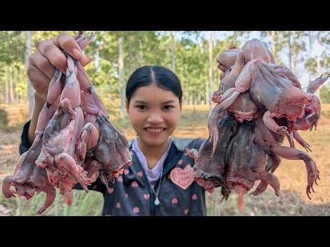 Braised Frog with Tomato / Ginger Braised Frogs Recipe