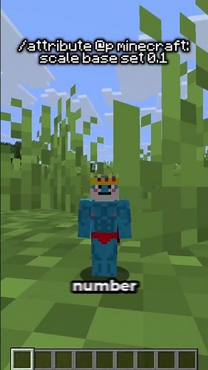 The Coolest Minecraft Commands