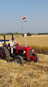 50K views · 666 reactions | Imt 533 1975 still working #reels #trendingreels #farming #tractorvideos #viralfbreels #fbviralreels | IMT WALE | Facebook