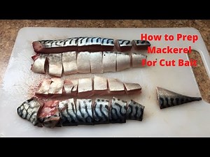 How to Prep Mackerel for Cut Bait | Catfish Bait Preparation | Best Bait for Catfish #theFitRealtor