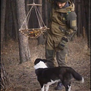 1.6M views · 4.5K reactions | Turn Plain Wood Into A Stylish Fruit Basket! | Transformazing | Facebook