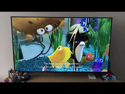 Finding Nemo Curse You Aqua Scum 2003 🐠