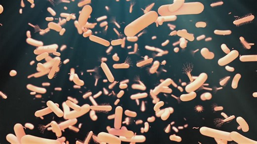 Medical officials raising alarm regarding new 'superbug'