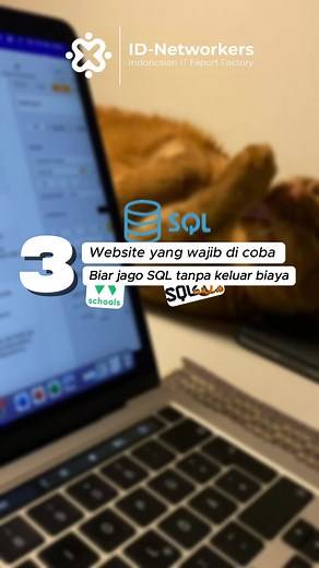 Ada lagi nih website-website favorit lo pada buat masterin SQL dalam waktu cepat?? #sql #querysql #sqlbolt #w3school #sqlzoo