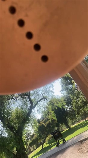 Unlocking the Secret Formula Behind SpongeBob SquarePants