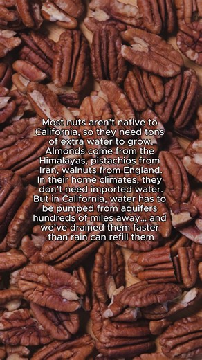 Sustainable farming through non-dairy innovation... Pecan milk is better for the planet, the farmer, and you. 🤎 | PKN Pecan Milk