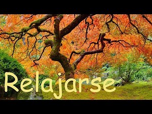 Música Relajante Zen con Influencia Asiática y Naturaleza - Relajación