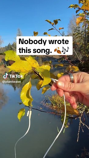 PlantWave on TikTok