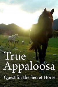 True Appaloosa (2015) - Movie