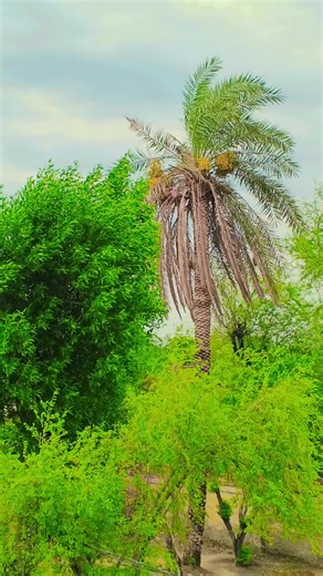 ali.baloch.471 on TikTok