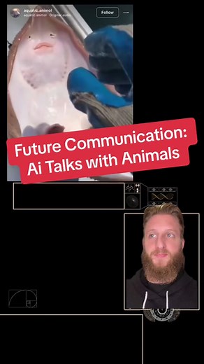 Exploring the Magic of Cymatics in Texas