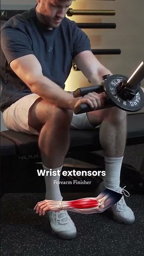 How to Isolate the Wrist extensors with the Forearm Finisher