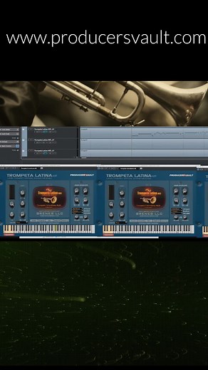 Trompeta Latina VST Plugin Virtual Instrument #latino #trumpet #vstplugins #recordingstudio #vsti #trompeta #TrompetaLatina #VSTPlugin #VirtualInstrument #MusicProduction #LatinMusic #SoundDesign #MusicSoftware #AudioPlugins #VirtualTrumpet #LatinJazz #MusicTech #DAWPlugins #PluginOfTheDay #ComposerLife #MusicCreation Trompeta Latina VSTi for more information or to download this software visit http://www.producersvault.com