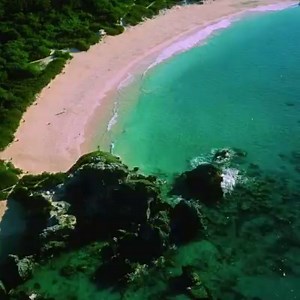Pink Sands Beach in Harbour Island, Bahamas! | Travel Pics