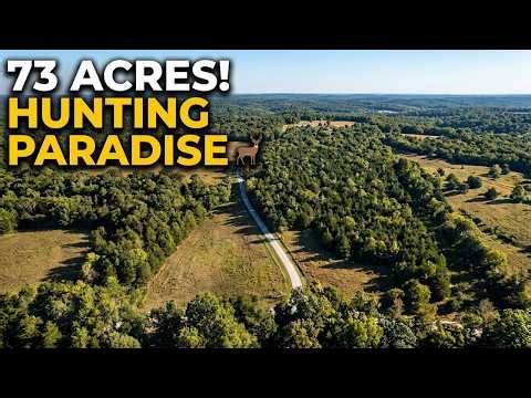 Southern Missouri Hunting/Building Land for sale! New 73 acre parcel For Sale and PRICE Reduced!