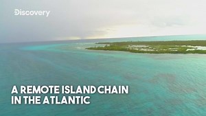 2.7K views · 104 reactions | Here is a sneak peek for our episode playing this Sunday 8.30pm on Discovery channel 麗 | The Wild Twins | Facebook