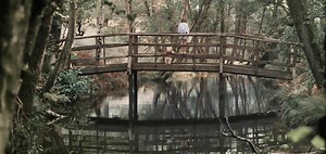 We Got Your Round Up of Upcoming Disney Live Action Films