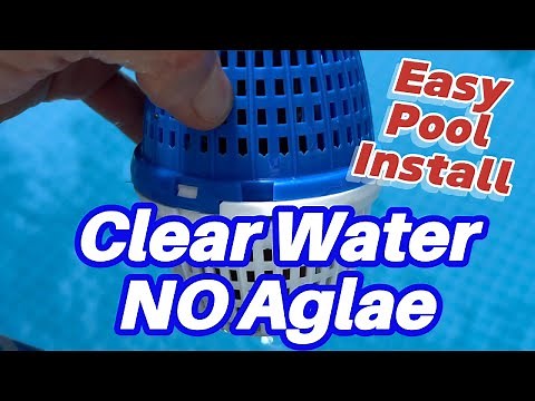Easiest Pool Algae Fix! 💧 How to Use PoolRx Pod (No Mess, No Guesswork) #pool #poolcare